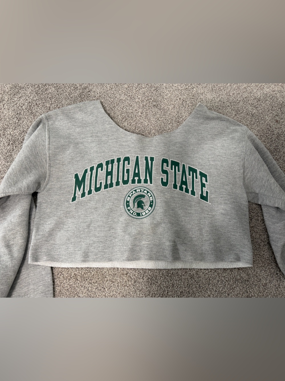 Michigan State Cropped Crewneck Sweatshirt with Green Logo